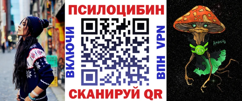 Псилоцибиновые грибы Cubensis Стрежевой