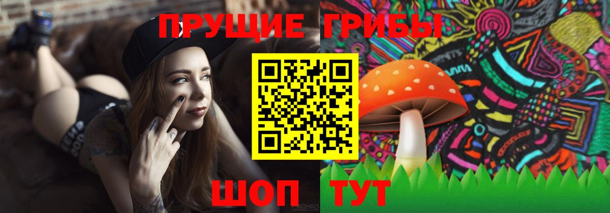 Стрежевой  Галлюциногенные грибы Psilocybine cubensis  Вход с VPN 