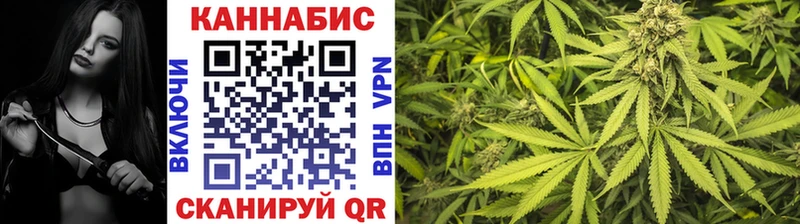 Бошки Шишки план  Стрежевой 